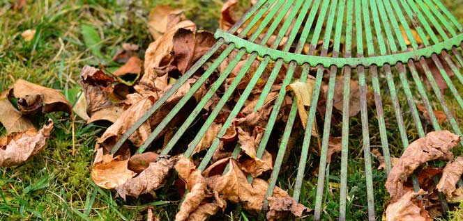 Gartenarbeit web Kulturgießerei Schöneiche Gartenarbeit_web